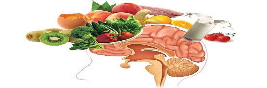 رژیم غذایی متعادل و پاسخ مناسب مغز