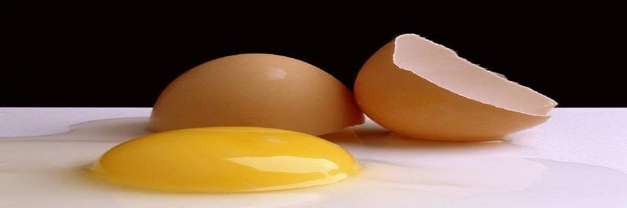 تخم مرغ و بیماری قلبی و عروقی