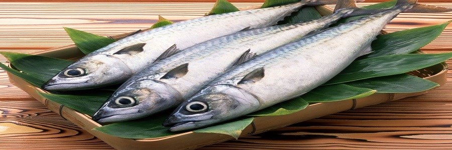 با مصرف ماهی از ابتلا به دیابت پیشگیری کنید