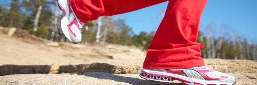 پیاده روی منظم سلامت قلب را بهبود می بخشد.