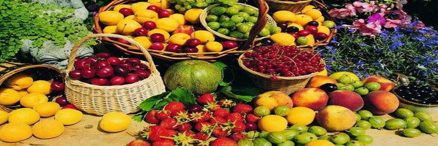 میوه و سبزی خطر بیماری ریوی را کاهش می دهد.