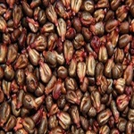 هسته انگور علیه سلول های سرطانی