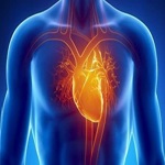 تری گلیسیرید بالا را جدی بگیرید