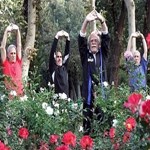 اثر شدت فعالیت ورزشی بر ناتوانی های حرکتی سالمندان