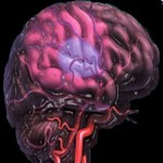 اثر آمادگی هوازی بر حافظه بلند مدت