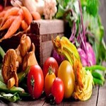 رژیم غذایی غنی از رزوراتول، سرطان و بیماری قلبی