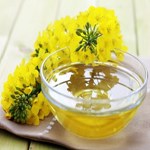روغن کانولا بهترین گزینه برای افراد مبتلا به دیابت نوع 2