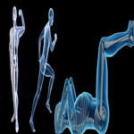 کاهش چربی داخل استخوان: اثر فعالیت ورزشی و دیابت