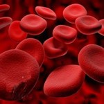 سنجش مقادیر کلسیم خون، قبل از دریافت مکمل های کلسیمی لازم است