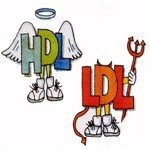 مواد قندی کلسترول " خوب " را می کشند