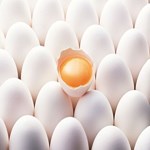 رفع اتهام تخم مرغ