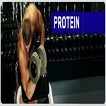 عضله سازی درفعالیت ورزشی مقاومتی: پروتئین سویا یا وِی؟