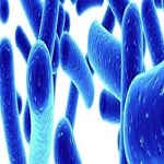 فواید پروبیوتیک ها،‌حتی برای نوزادان