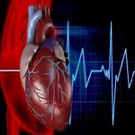 بیماری قلبی و عروقی : ژن ها با استرس فعال می شوند