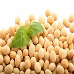 گُر گرفتگی: سویا در همه زنان یائسه مؤثر نیست