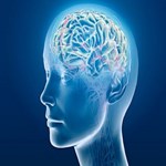 آیا داروهای کاهنده چربی خون موجب کاهش حافظه می شوند؟