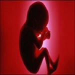 افزایش فشار خون در بارداری موجب ابتلای نسل بعدی خواهد شد