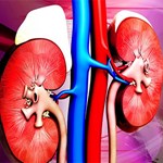 اثر مفید مکمل ویتامین D در کودکان مبتلا نارسایی کلیوی