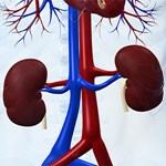 کنترل مناسب قند خون در بیماران دیابتی و کاهش ابتلا به نارسایی کلیه