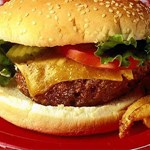 رژیم غذایی پرچربی موجب نقص عملکردی مغز می شود