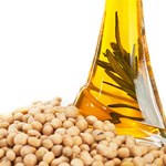 روغن سویا، یکی از عوامل افزایش شیوع چاقی