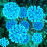 ویروس هپاتیت C و افزایش خطر پارکینسون