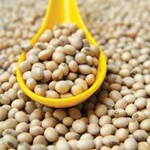 سویا خطر مرگ را در برخی مبتلایان به سرطان سینه کاهش می دهد.