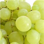 انگور و درمان سرطان