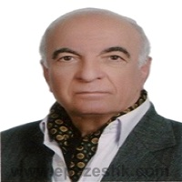 دکتر سیدمحمد سنادی زاده
