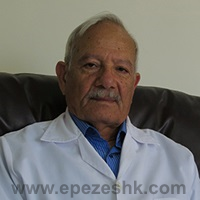 دکتر محمدحسین گرجی