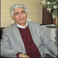 دکتر سیدهبت الدین برقعی