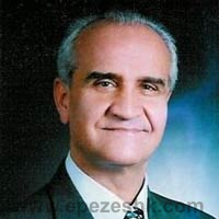 دکتر محمود رشیقی فیروزآبادی
