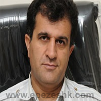 دکتر سیدنجات حسینی