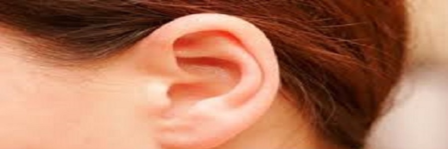 گوش سالم چگونه کار می کند؟