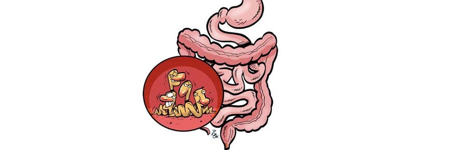 درمان انگل و کرم روده