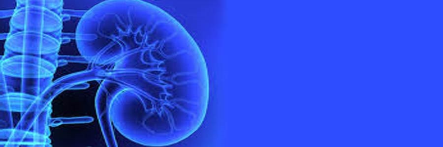 بیماریهای عفونی (اورولوژی):