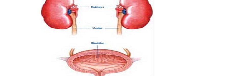 بیماری شایع به نام عفونت ادراری