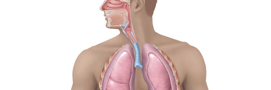 جراحی مجاری تنفسی