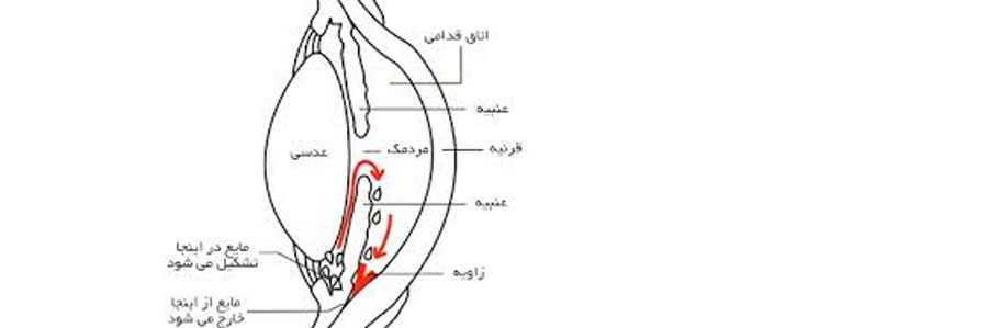 پیشگیری از گلوکوم با معاینه منظم سالیانه چشم