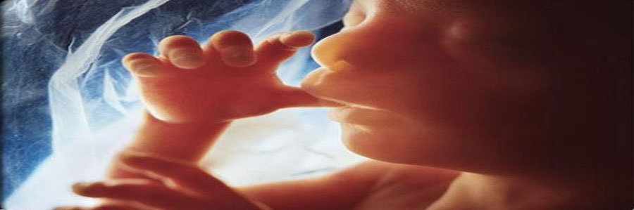 سقط در دو ماهگی
