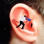 گوش سالم چگونه کار می کند؟