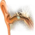 بیماریها و جراحی های گوش