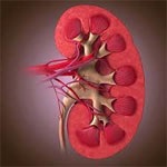 مسایل اخلاقی پیوند کلیه