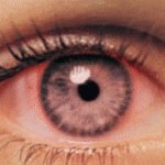 بیماری‌های حدقه چشم