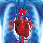 4 نشانه که از حمله قلبی شما خبر می‌دهد