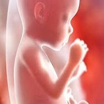 تعیین جنسیت جنین در هفته 5 حاملگی با آزمایش خون مادر
